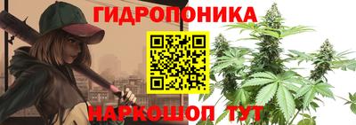 ГАЛЛЮЦИНОГЕННЫЕ ГРИБЫ Обь