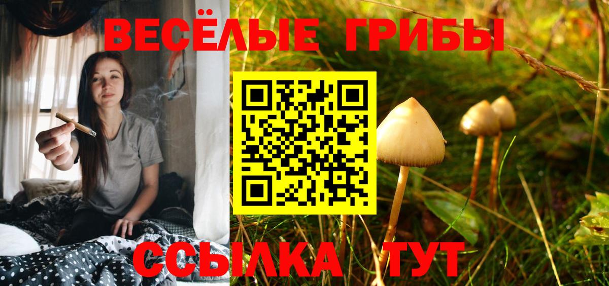 Дятьково  Галлюциногенные грибы Magic Shrooms  Вход с VPN 